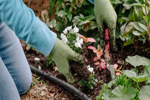 Can gardening be a workout?