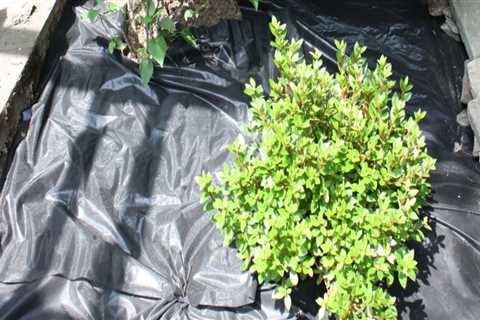 Why use weed control fabric?