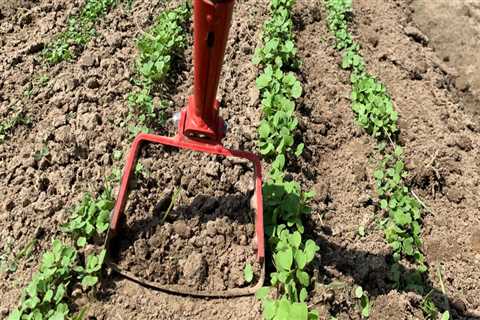 Controlling garden weeds?