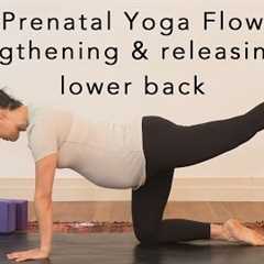Prenatal Yoga Flow - lower back 30min