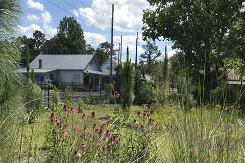 Are there any organizations that offer classes on planting and caring for native plants in central..