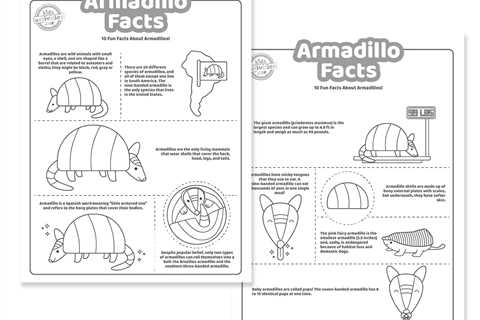 10+ Armadillo Facts Fun For Kids