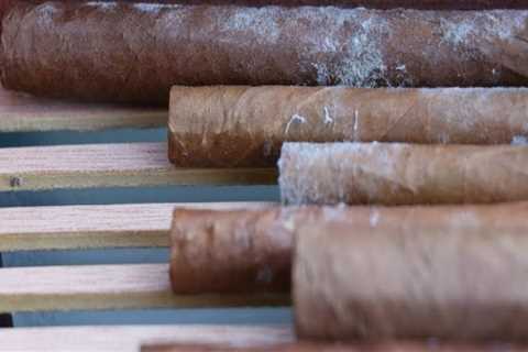 How to Tell if a Cigar is Fresh or Not