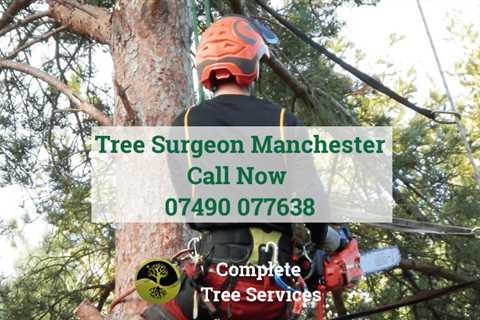 Pocket Tree Surgeon Residential & Commercial Tree Services