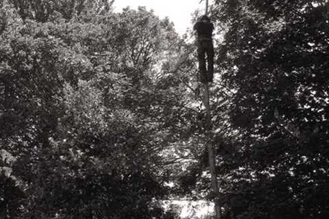 Orrell Tree Surgeon Residential And Commercial Tree Services