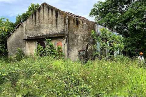 We Created a NEW look for this Abandoned House |  | We Clean the Lawn and bushes for Free