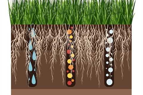 The Complexities of Using Organic Liquid Fertilizer for Your Lawn