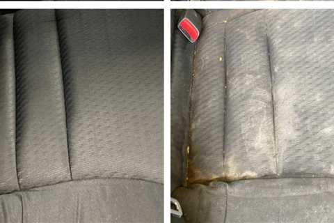 Will car detailing remove mold?