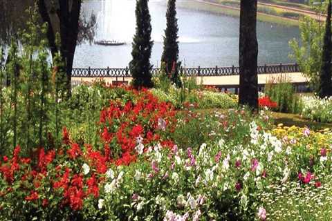 Why botanical gardens are established?