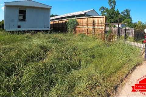 Our Mower Could BARELY Cut This EXTREMELY OVERGROWN Yard