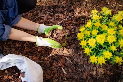 What To Do With Old Mulch