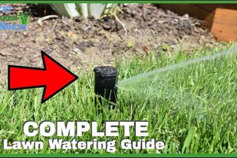 How To Save Your Lawn This Summer! | The Complete Lawn Watering Guide