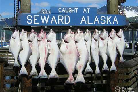 How to Go Alaska Halibut Fishing: An Angler’s Guide