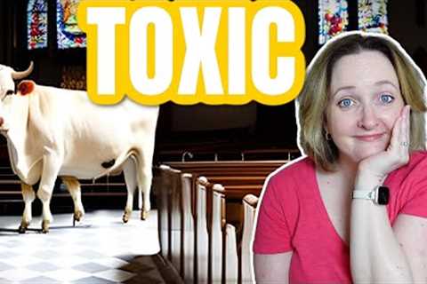 CONFRONTING SACRED COWS | Toxic Ownership Within Churches