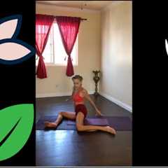 Chi Yoga Wellness Flow : Beginner Friendly ☯️ 🧘‍♀️ Part 2