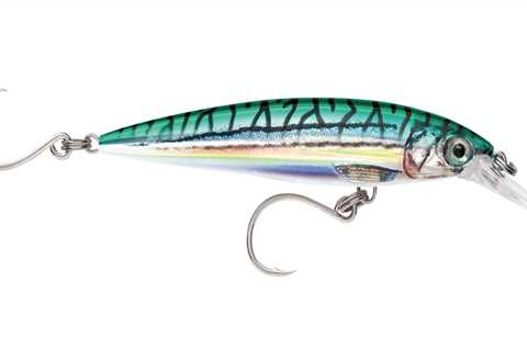 Striper Cup Lure 2023: Rapala X-Rap Long Cast