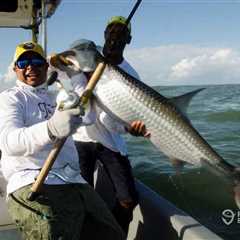 How to Go Tarpon Fishing in Costa Rica: An Angler’s Guide