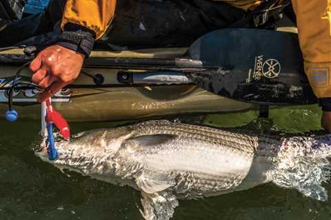 Low-Impact Tactics for Summer Stripers