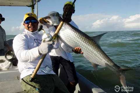 How to Go Tarpon Fishing in Costa Rica: An Angler’s Guide