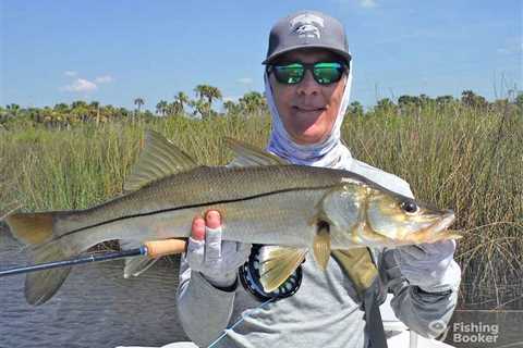 The Best Snook Bait: An Angler’s Guide