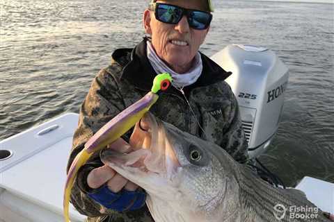 The Best Striped Bass Baits: An Angler’s Guide