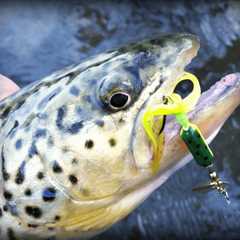 The Best Trout Lures For Rivers And Streams: Our Picks For Must-Have Trout Lures