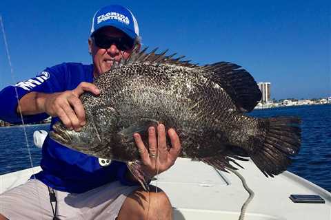 How to Go Tripletail Fishing: An Angler’s Guide