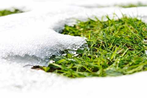 The Best Lawn Care Solutions to Prepare Your Lawn for Winter