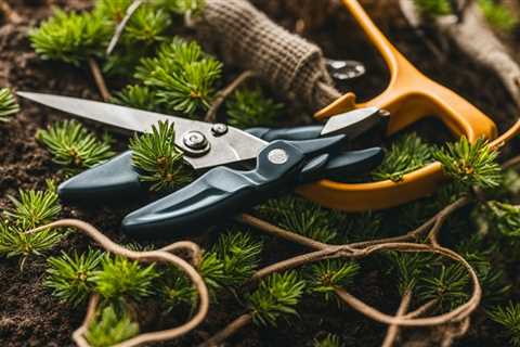 Understanding What Are the Basics of Pruning in Small Gardens