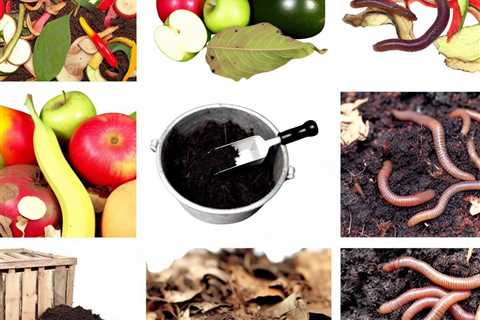 “The Ultimate Guide to Making Rich, Nutrient-Dense Compost”