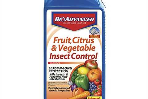 BioAdvanced Fruit & Vegetable Insect Control, Concentrate, 32oz