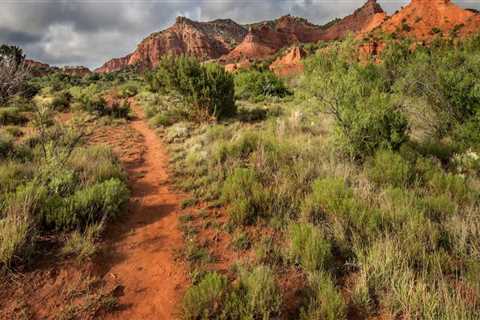 Uncovering the Natural Beauty of Hays County, TX Trails