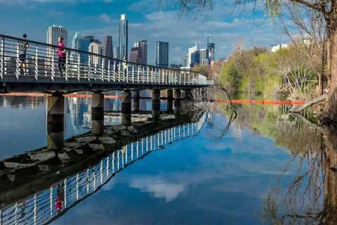 Bird Watching in Hays County, TX: A Paradise for Nature Enthusiasts