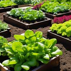 Best Organic Fertilizers for Raised Beds