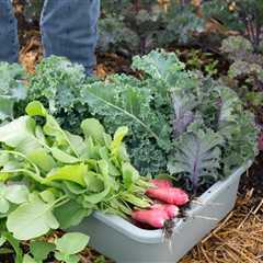Unlock Organic Growth: Master Mulching Techniques for Thriving Gardens