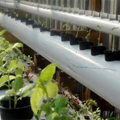 Recirculating vs. Non-Recirculating Systems: Which is Best for Your Hydroponic Garden?