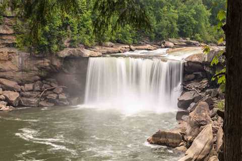 Capturing the Natural Beauty of Louisville, KY through Photography