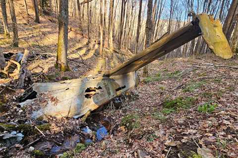 Hike to the USAF C-45 Plane Crash Site in Laurel Fork Wilderness