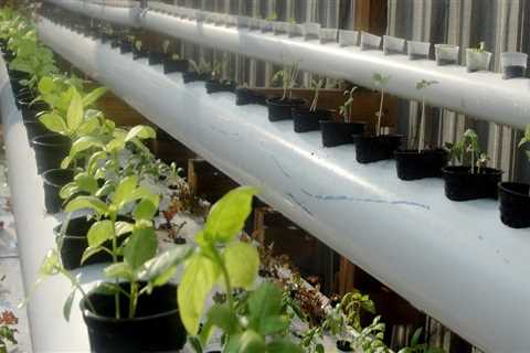 Recirculating vs. Non-Recirculating Systems: Which is Best for Your Hydroponic Garden?