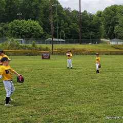 Hey, Batter Batter - Swing Batter!