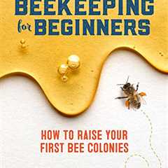 Beginner's Guide: Starting Your Beekeeping Journey