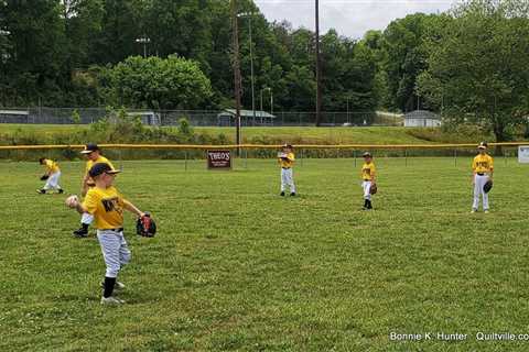 Hey, Batter Batter - Swing Batter!