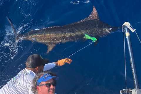 A world-class international billfish tournament in Costa Rica ends one season, ushers in another