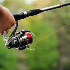 The Best Spinning Reels Under $100 for 2024