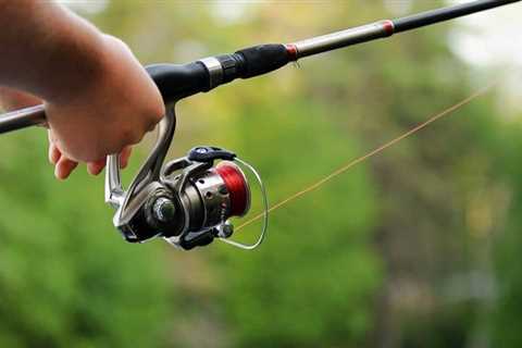 The Best Spinning Reels Under $100 for 2024