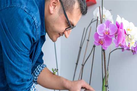 How to Properly Water Your Orchids