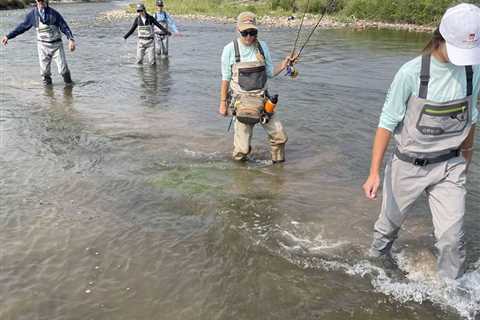 Fly Fishing Rods: A Beginner’s Guide