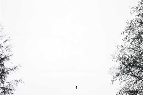 Skier in the lake Pyhäjärvi (Holy Lake) at Pispala