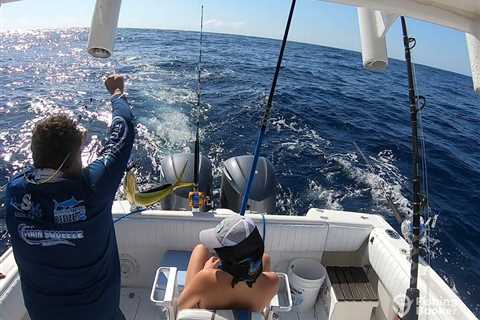 How to Go Offshore Fishing: A Beginner’s Guide