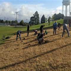 The Impact of Climate Change on Plant Conservation Efforts in Anoka County, MN